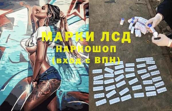 стафф Алзамай