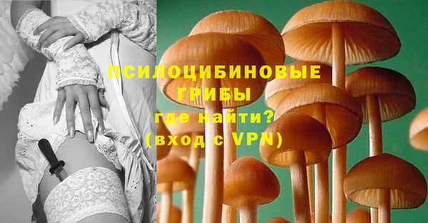 спиды Алексеевка